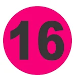 16 برنامج غسيل