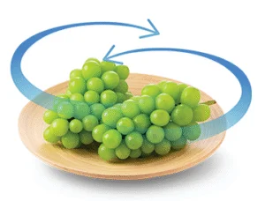 فتحات تهوية